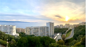 studio à la vente -   20000  AJACCIO, surface 25 m2 vente studio - UBI448194053